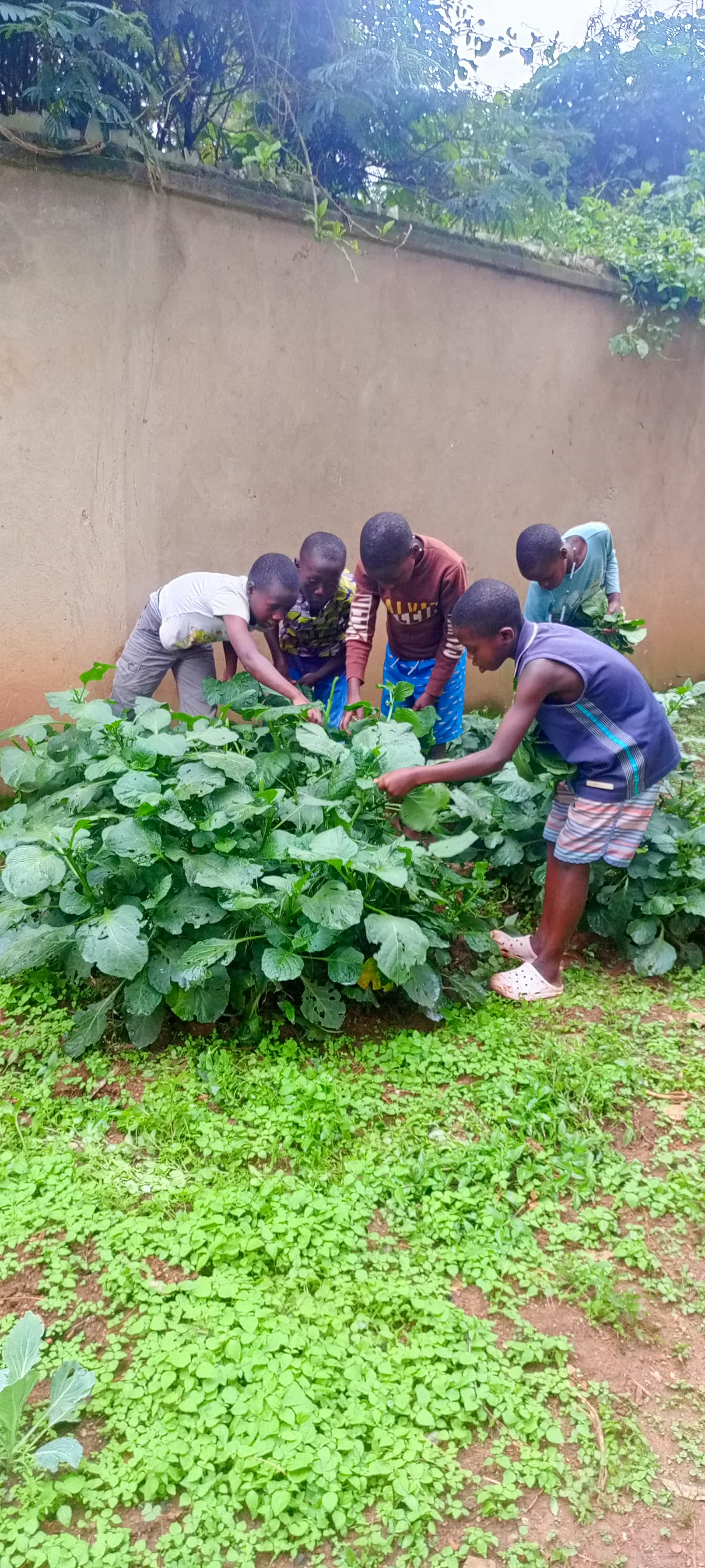 Sustainable gardening